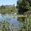 Little Long Pond