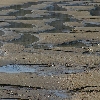 Patterns in the sand