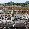 Stone sculpture on Bar Island