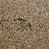 Sand Beach foot print