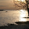 Sunrise from the shorepath