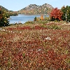 Jordan Pond and the Bubbles