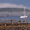 Boats with seasmoke