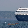 Kayaks meet cruise ship
